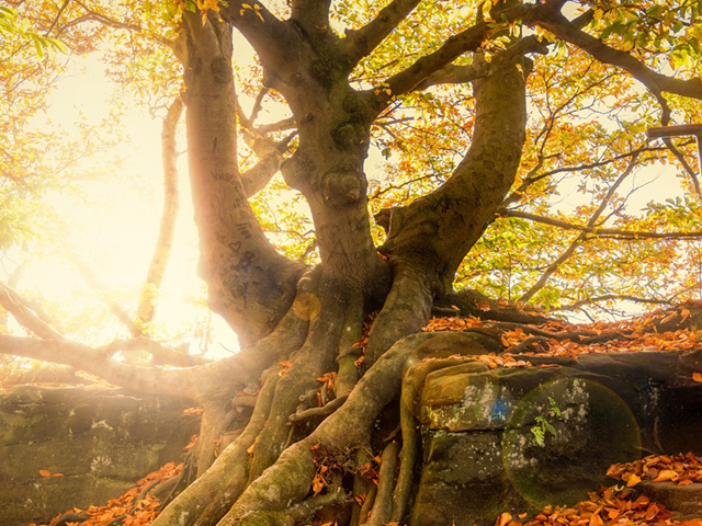Älter werden in Sankt Marien
